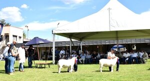 La Expo Nacional Texel 2022 tuvo calidad en pista y buenos negocios