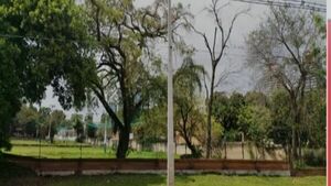 Ingenieros agrónomos se oponen a instalación de gasolinera en Asunción