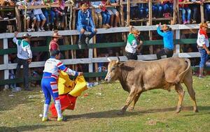 Toreros abogan por declarar de interés cultural el torín – Prensa 5