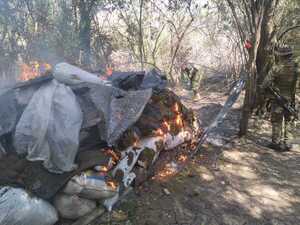 Policía destruye campamento narco y gran cantidad de marihuana | Radio Regional 660 AM