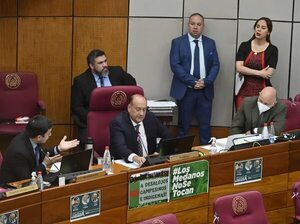 Por ahora fracasa en Senado intención de repartir US$ 940 millones de Itaipú   - Política - ABC Color