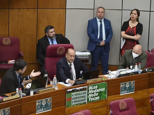Por ahora fracasa en Senado intención de repartir US$ 940 millones de Itaipú - Política - ABC Color
