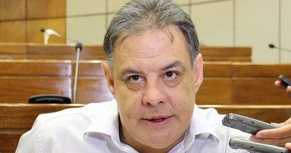 La Nación / Senador cuestiona la veracidad de las informaciones dadas por Iván Ojeda, titular del INE
