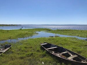 Cianobacterias en el Lago Ypacarai: evitar el florecimiento es vital para conservar salud humana y del ecosistema, según Conalaypa - Política - ABC Color
