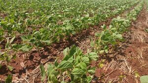 Actividad económica creció 4% en setiembre gracias al agro