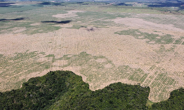 Deforestación del Amazonas batió récord en octubre y supera todo 2021 - OviedoPress