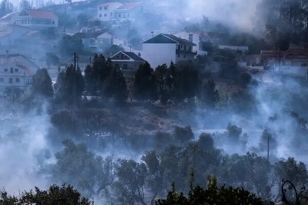 Documental de DiCaprio llega a Portugal con herida abierta por incendios - Mundo - ABC Color