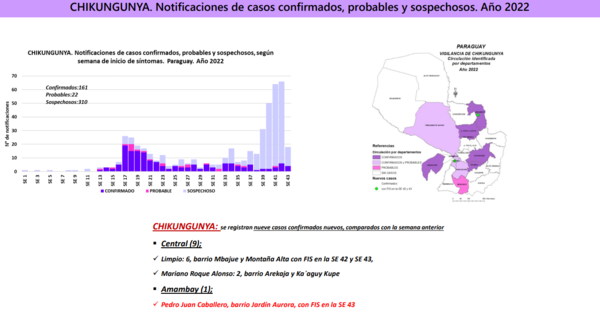 Diario HOY | Arbovirosis: "no se está viendo el aumento de casos esperado"