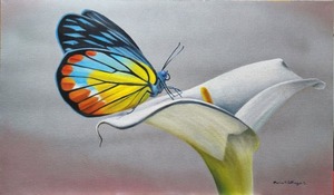 Diario HOY | Muestra de arte “Diversidad, Equilibrio III”, en la Manzana de la Rivera