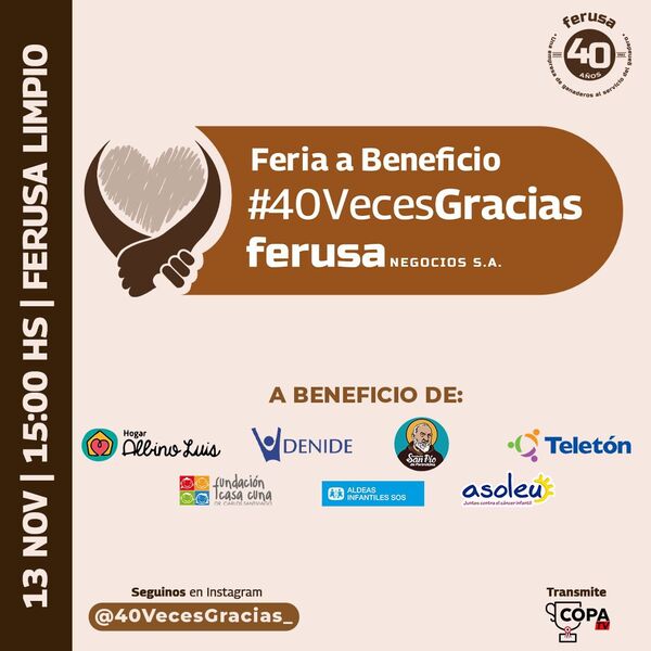 Ferusa celebra su 40.º aniversario con una feria 100% a beneficio de fundaciones y organizaciones - Revista PLUS
