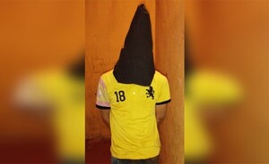 Robó una moto, huyó y tras una persecución cayó a una cuneta