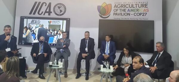 Cumplir pacto del metano implicará reducir hato ganadero, alerta un experto - Nacionales - ABC Color