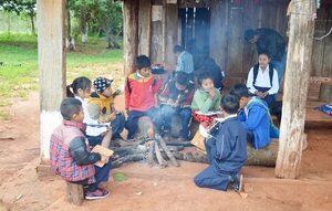 Indígenas trabajan en su propio plan de  Transformación Educativa - Nacionales - ABC Color