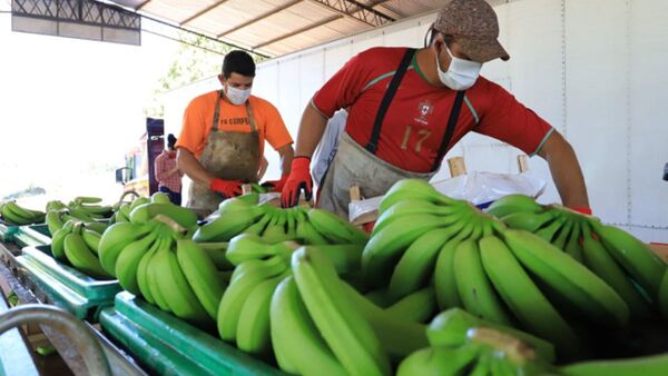 Solicitan declaración de emergencia para productores frutihortícolas | Agronegocios | 5Días