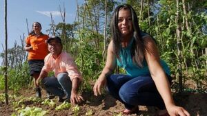 Fomentan aplicación de sistemas agroforestales contra el cambio climático | Agronegocios | 5Días