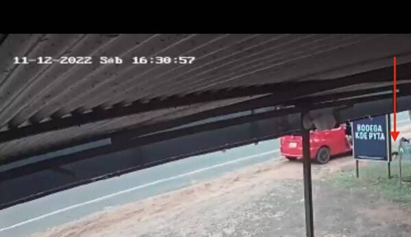 Crónica / Se bajaron para “reponer” el chupi y seguir tragando: un firulais desapareció