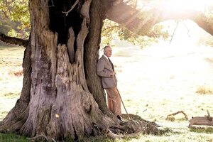 El rey Carlos III cumple 74 años, con un nuevo retrato y salvas de cañón - Gente - ABC Color