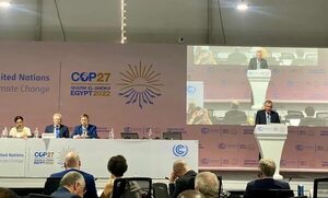 Pacto del metano: Paraguay no comprometerá desarrollo económico, asegura ministro Bertoni - Nacionales - ABC Color