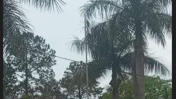 Escándalo en Iturbe por bandera de Olimpia en sede municipal