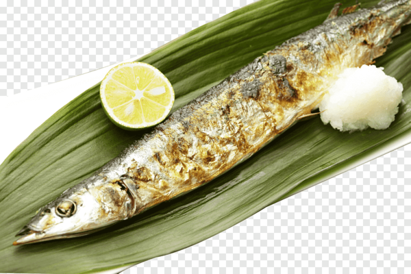 Diario HOY | Investigadores revelan que humanos ya cocinaban pescado hace 780.000 años