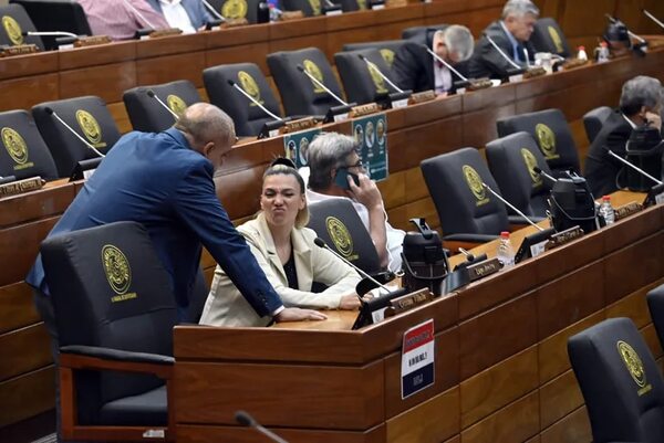 PGN 2023: comisiones vecinales no rendirán cuentas sobre uso del dinero público - Economía - ABC Color