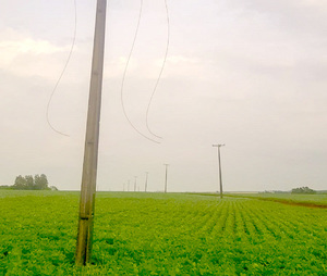 En zona Sur de A. Paraná varias comunidades quedaron sin electricidad por robo de cables - La Clave
