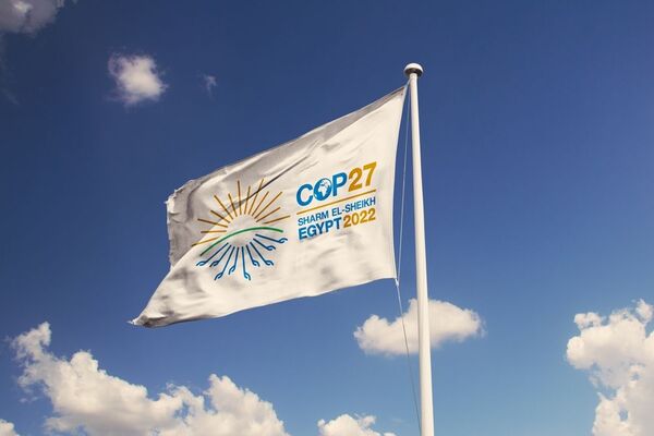 Preocupa adherencia de Paraguay al pacto de metano y que reduzca su ganado - MarketData