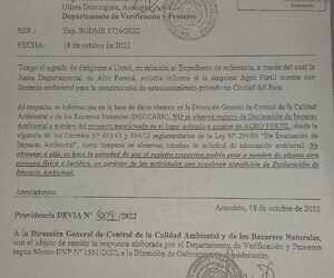Mades confirma que tala a favor de Agrofértil se hizo sin estudio, y Prieto debe ser imputado