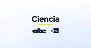 El cerebro infantil está programado para aprender más rápido que los adultos - Ciencia - ABC Color