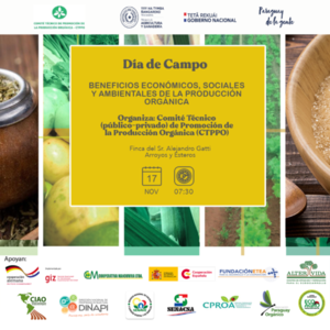 Arroyos y Esteros será sede de día de campo para compartir avances en producción orgánica - .::Agencia IP::.