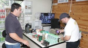 Allanan local donde vendían productos derivados del cannabis sin autorización