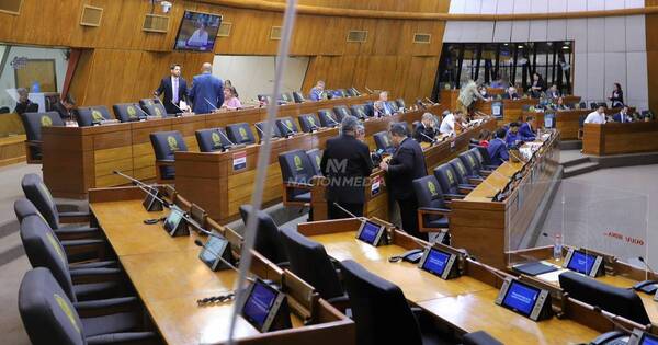 La Nación / Diputados tratará pedidos de interpelación de titulares del Indi, INE y Copaco