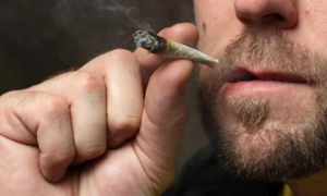 Diario HOY | La marihuana puede dañar los pulmones más que el tabaco, según estudio