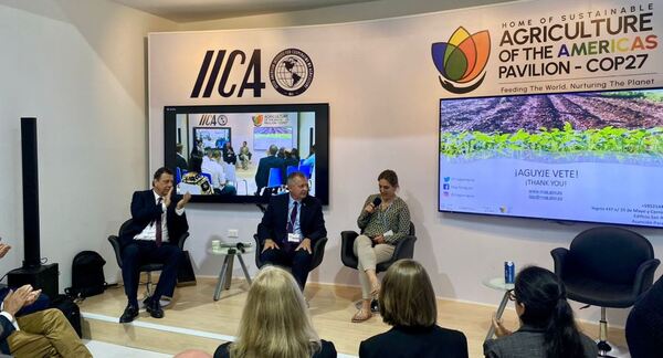 Ministro Bertoni destaca las fortalezas de la agro-ganadería sostenible a nivel nacional en la COP27