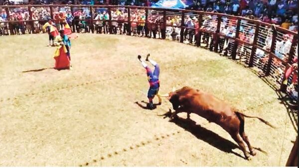 Armarán una corrida de toros frente al Congreso