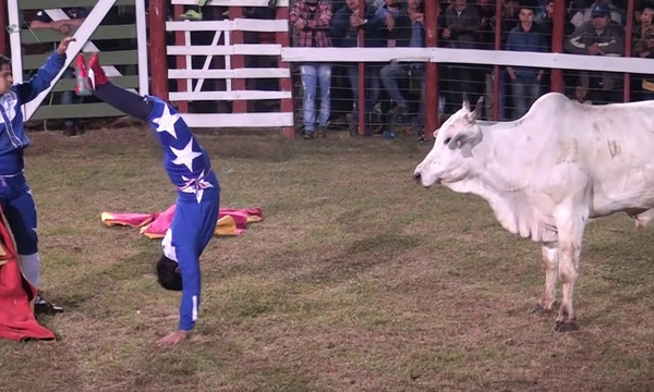 Montarán corrida de toros frente al Congreso - OviedoPress