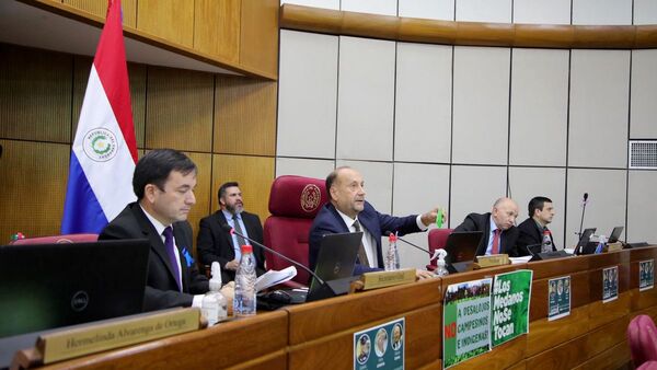 En Senado surgen nuevas dudas sobre proyecto del tren de cercanías