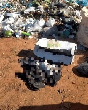 HALLAN MUERTA A RECIÉN NACIDA EN UNA MOCHILA EN VERTEDERO DE SAN IGNACIO - La Voz del Norte