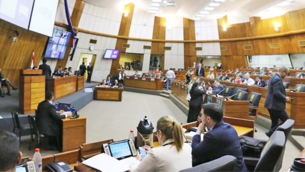 Diputados denuncian que PGN remitido al Senado no incorporó varios aumentos aprobados en la Cámara Baja - El Independiente