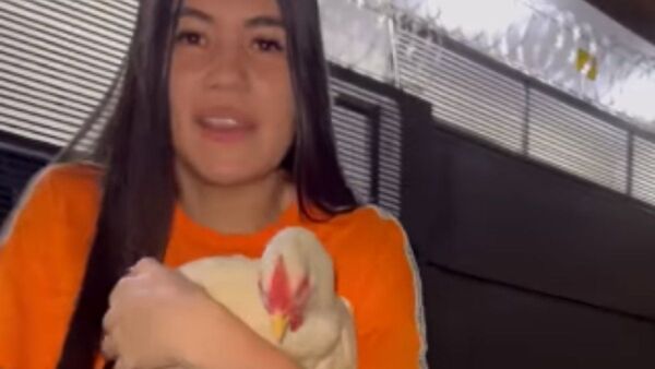 Le regalaron a Laurys Dyva otra gallina: "Hortensia es muy celosa"