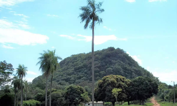 Escalan el cerro Cristo Rey en busca del Jasy Jatere - OviedoPress