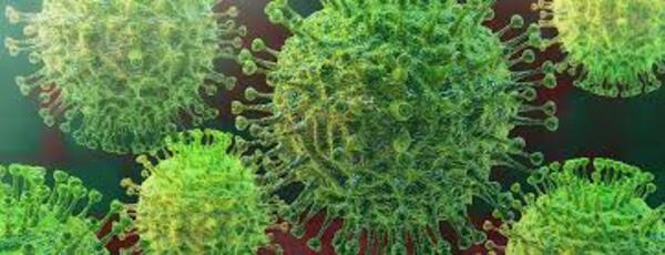“Ahora estamos en el campo de batalla con el coronavirus“, afirma médico - PDS RADIO