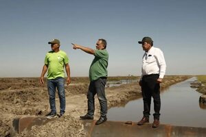 Ambientalistas preocupados por arroceras que afectan el ecosistema en Villa Oliva - Nacionales - ABC Color