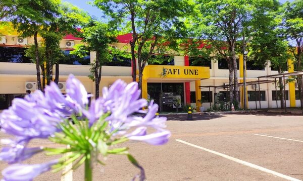 ANEAES reacredina carrera de Educación de FAFI-UNE