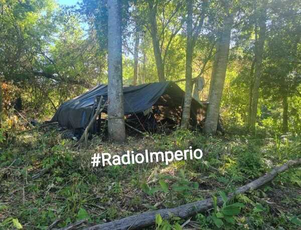 Senad destruyó dos hectáreas de marihuana en la colonia Estrella - Radio Imperio