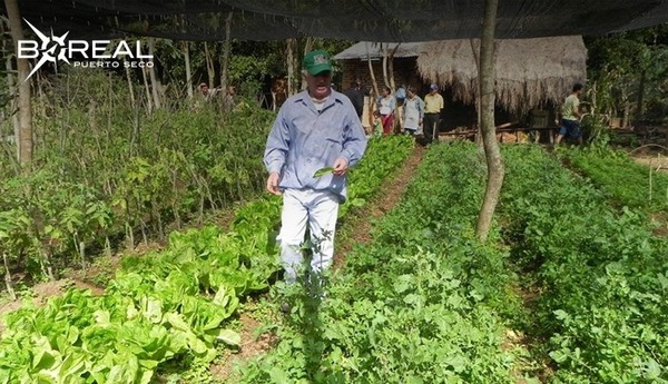 Paraguay no suscribirá acuerdo para “reducir” metano de la COP27, anuncian - Unicanal