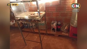 Intento de feminicidio en Misiones - C9N
