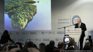 Deforestación cero: la promesa de Lula para salvar la Amazonia y el clima