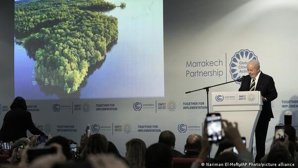 Deforestación cero: la promesa de Lula para salvar la Amazonia y el clima