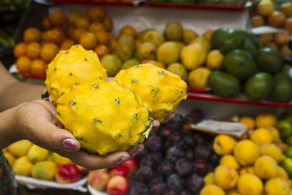 Ecuador exporta pitahaya a 56 países, tras sumar a Perú - MarketData